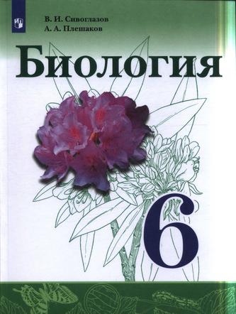 Превью
