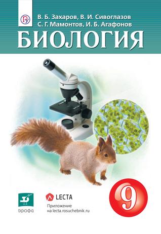 Превью