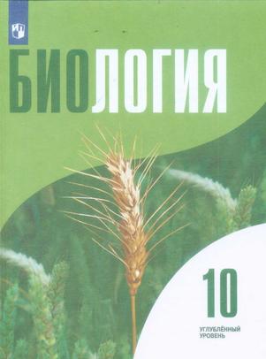 Превью