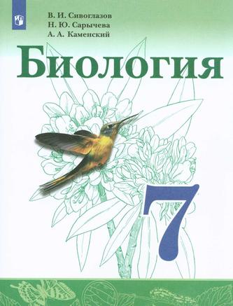 Превью