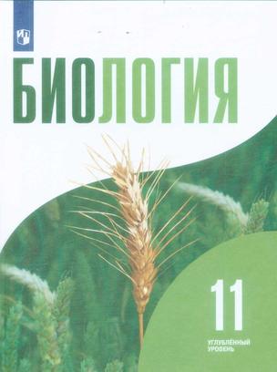Превью