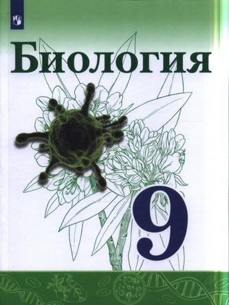 Превью