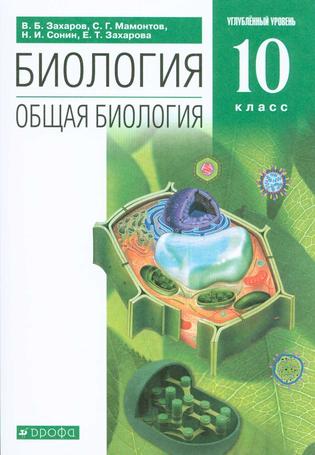 Превью