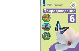 Превью