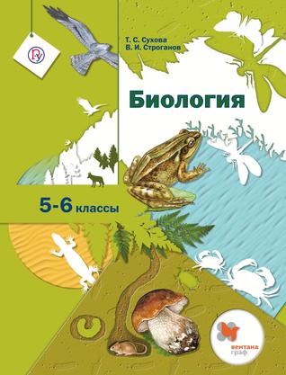 Превью