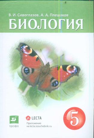 Превью
