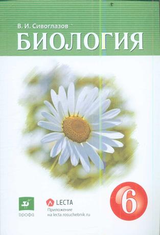 Превью