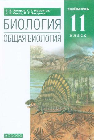 Превью