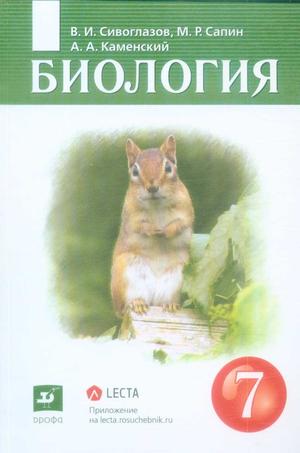 Превью