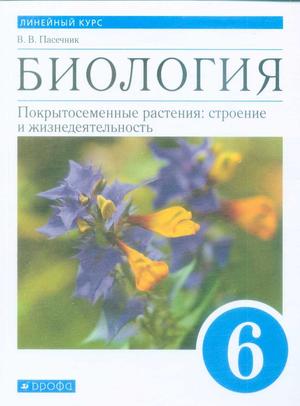Превью