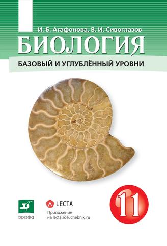 Превью