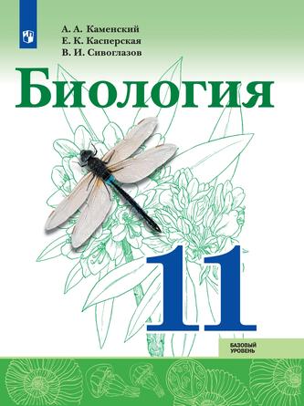 Превью