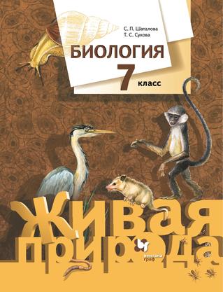 Превью