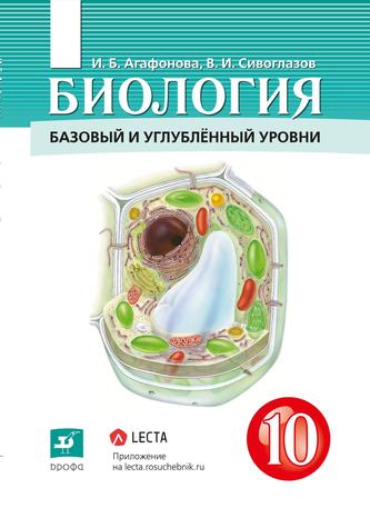 Превью