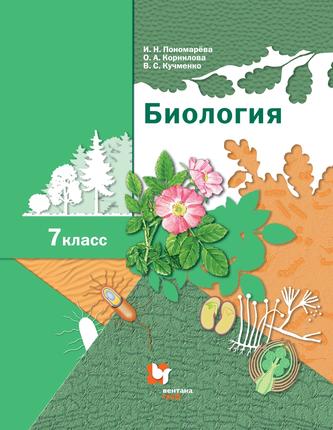 Превью