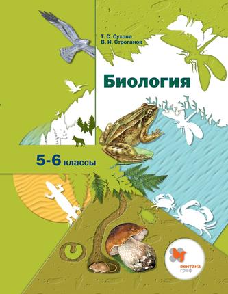 Превью