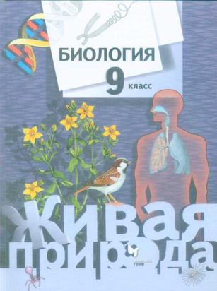 Превью