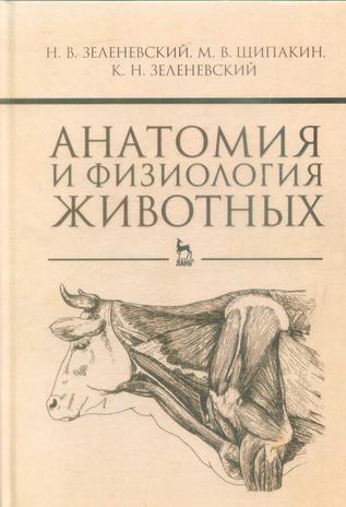 Превью