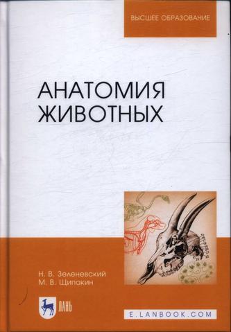 Превью