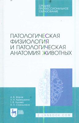 Превью