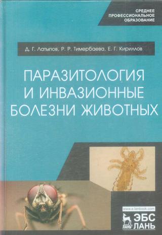 Превью