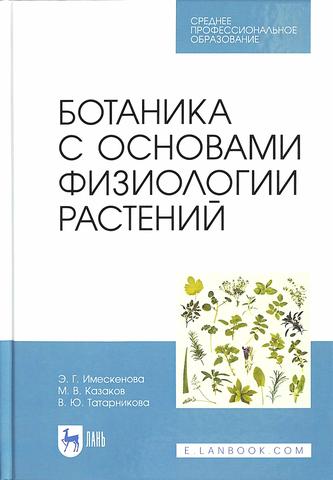 Превью