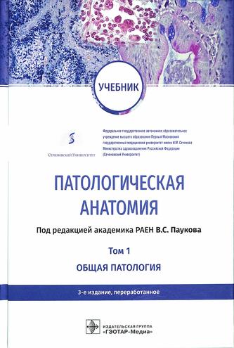 Превью