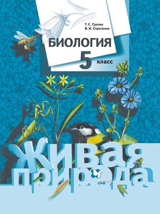 Превью