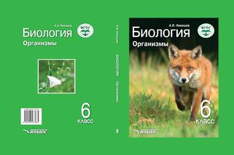 Превью