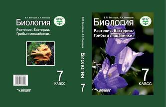Превью