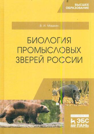 Превью