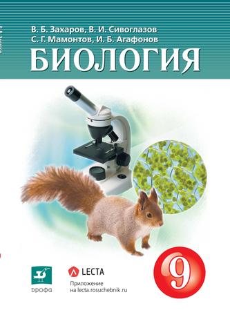 Превью