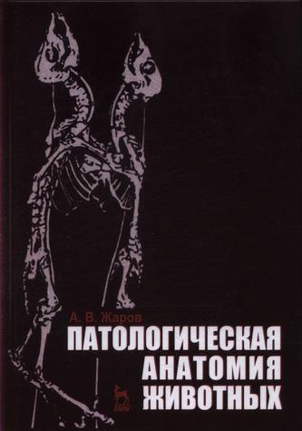 Превью