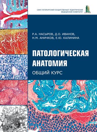 Превью