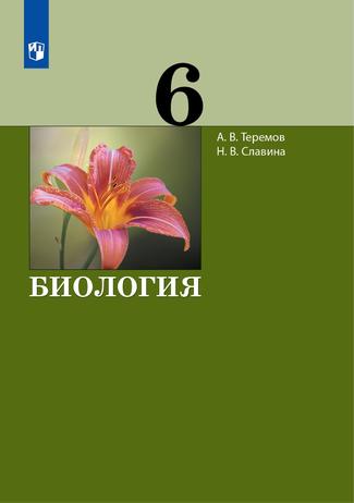 Превью