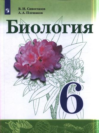 Превью