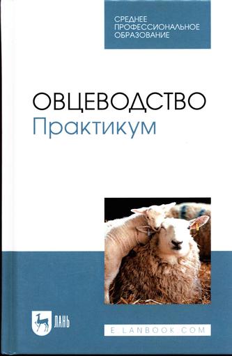 Превью