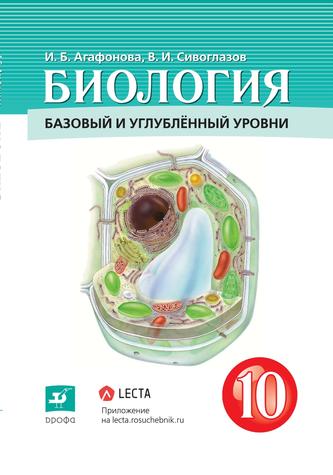 Превью