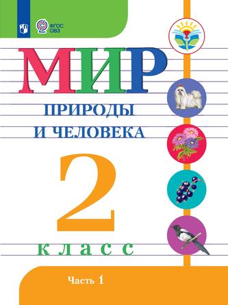 Превью