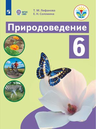 Превью