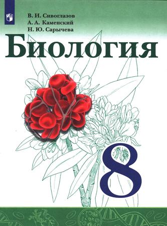Превью