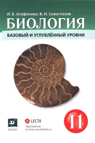 Превью