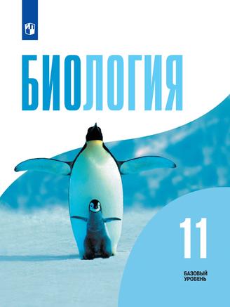 Превью