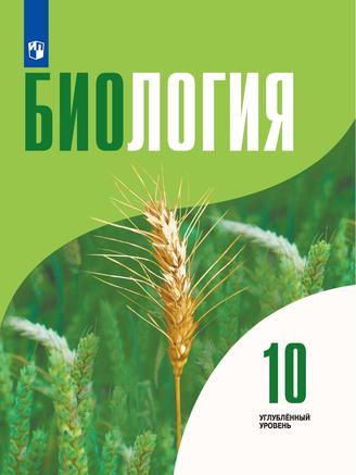 Превью