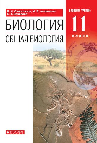 Превью