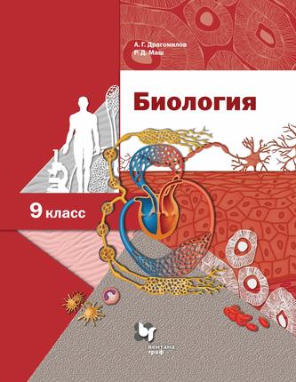 Превью