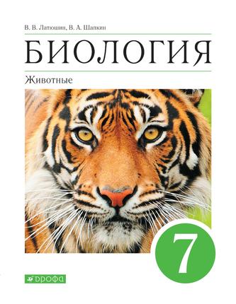 Превью