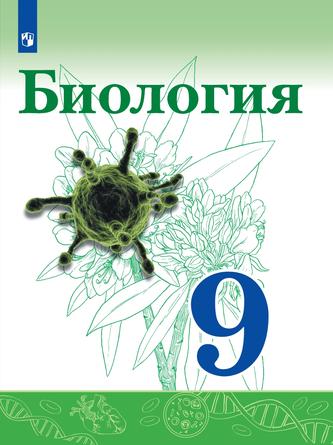 Превью