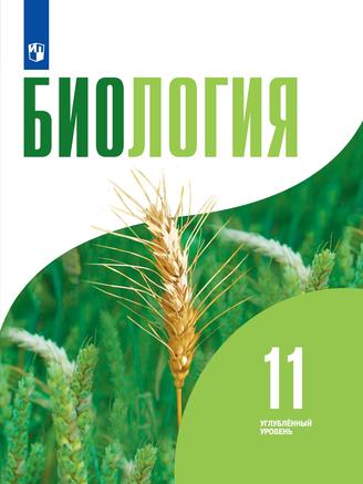 Превью
