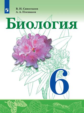 Превью